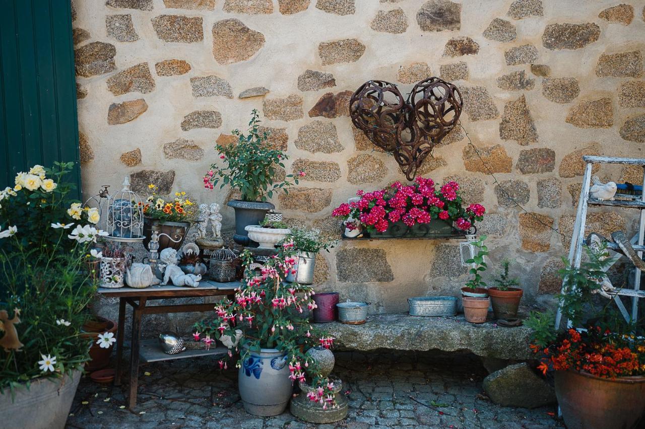 Idyllischer Bauernhof Mit Viel Charme Arnsdorf-Hilbersdorf Εξωτερικό φωτογραφία